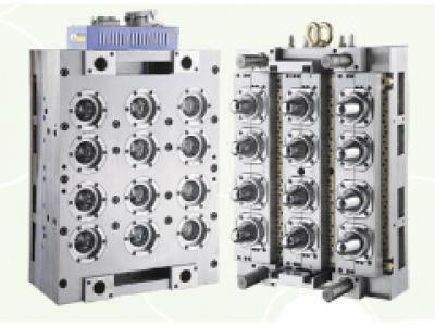 PET Preform Mold